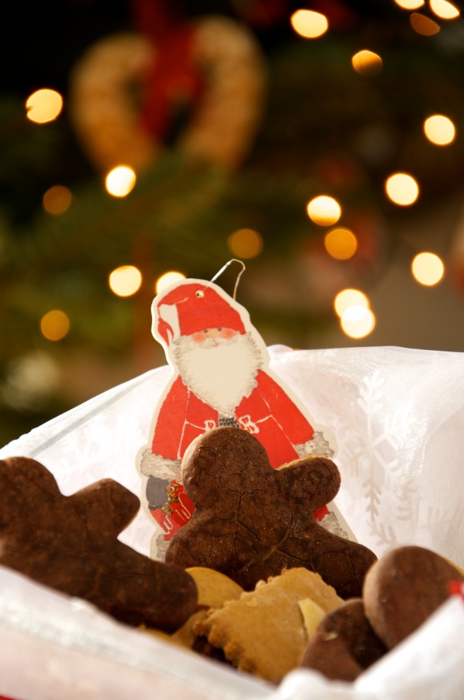 Biscotti Di Natale Lebkuchen.Lebkuchen I Biscotti Di Natale La Cuoca Volante